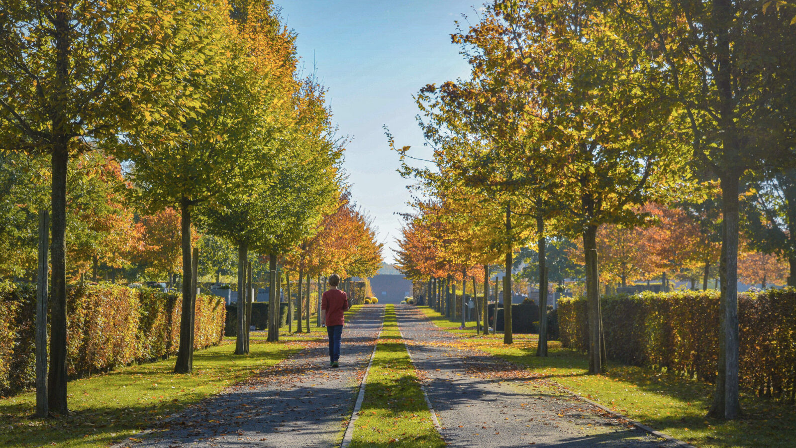 Rehabilitation and expansion of Zonnebeke cemetery
