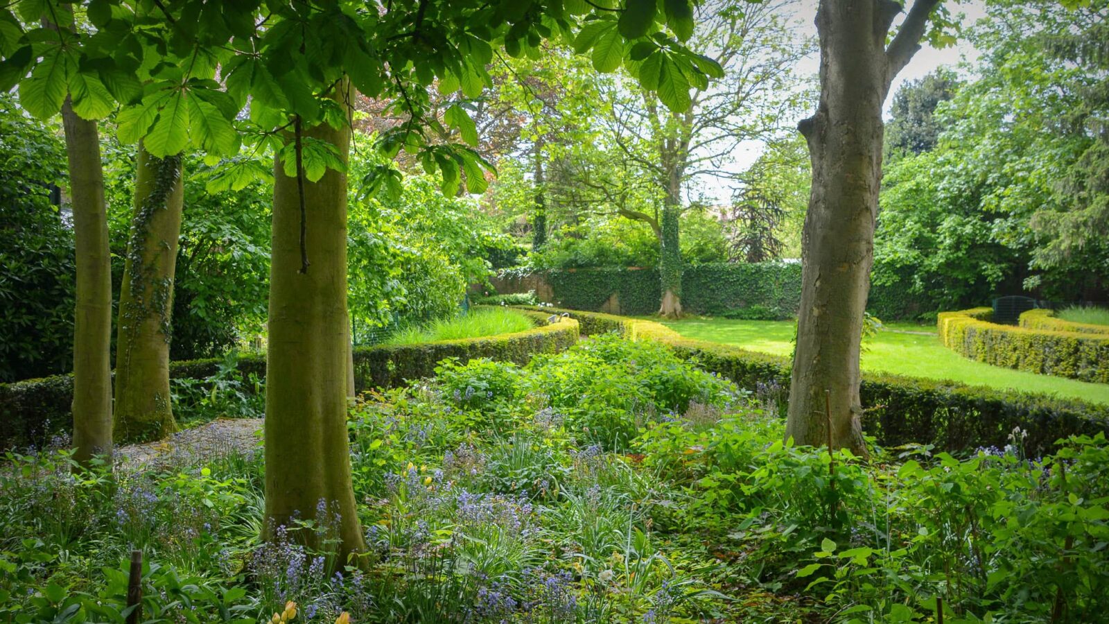 Tuin in Wervik