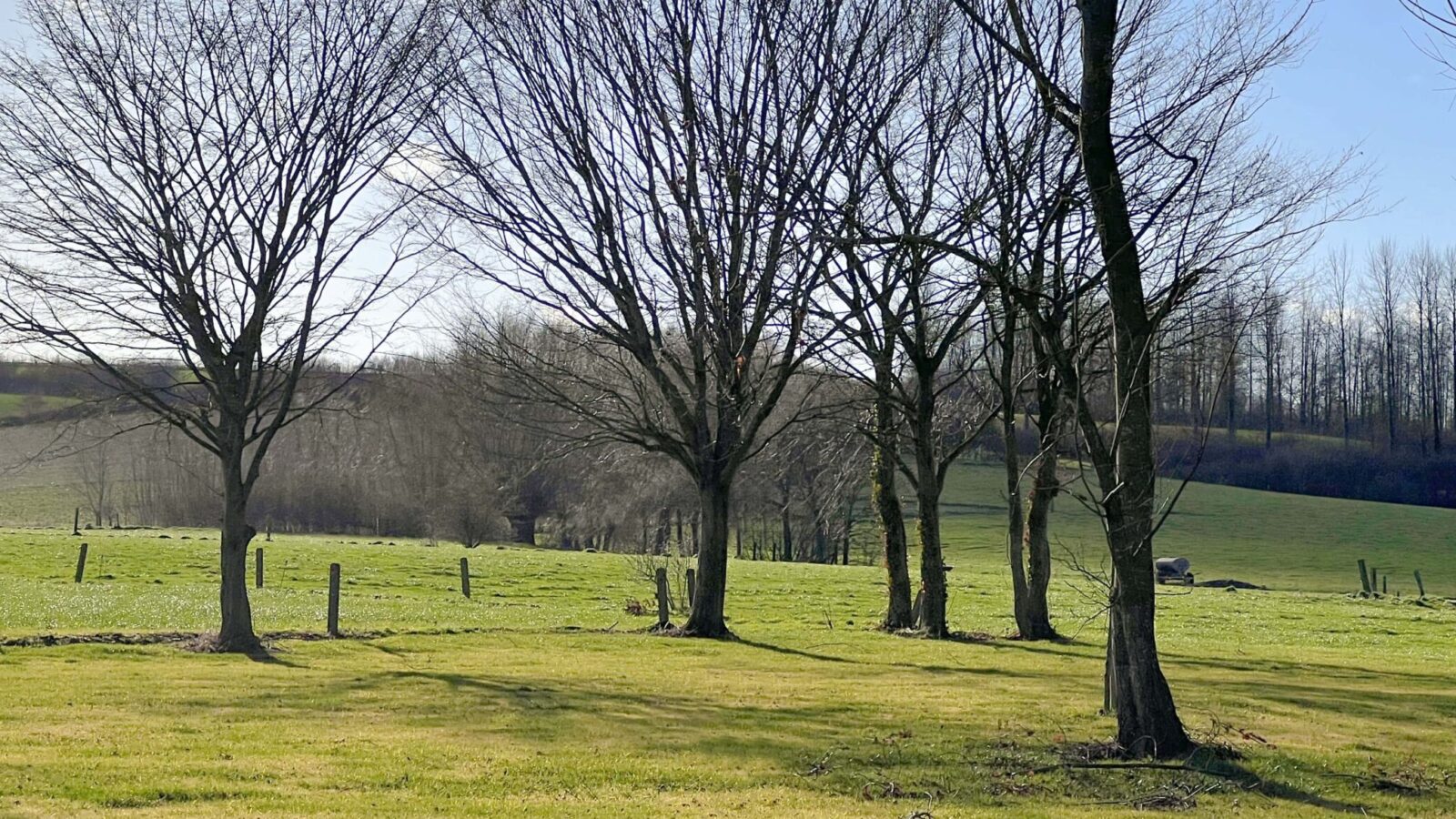 Tuin in Zulzeke (in uitvoering)