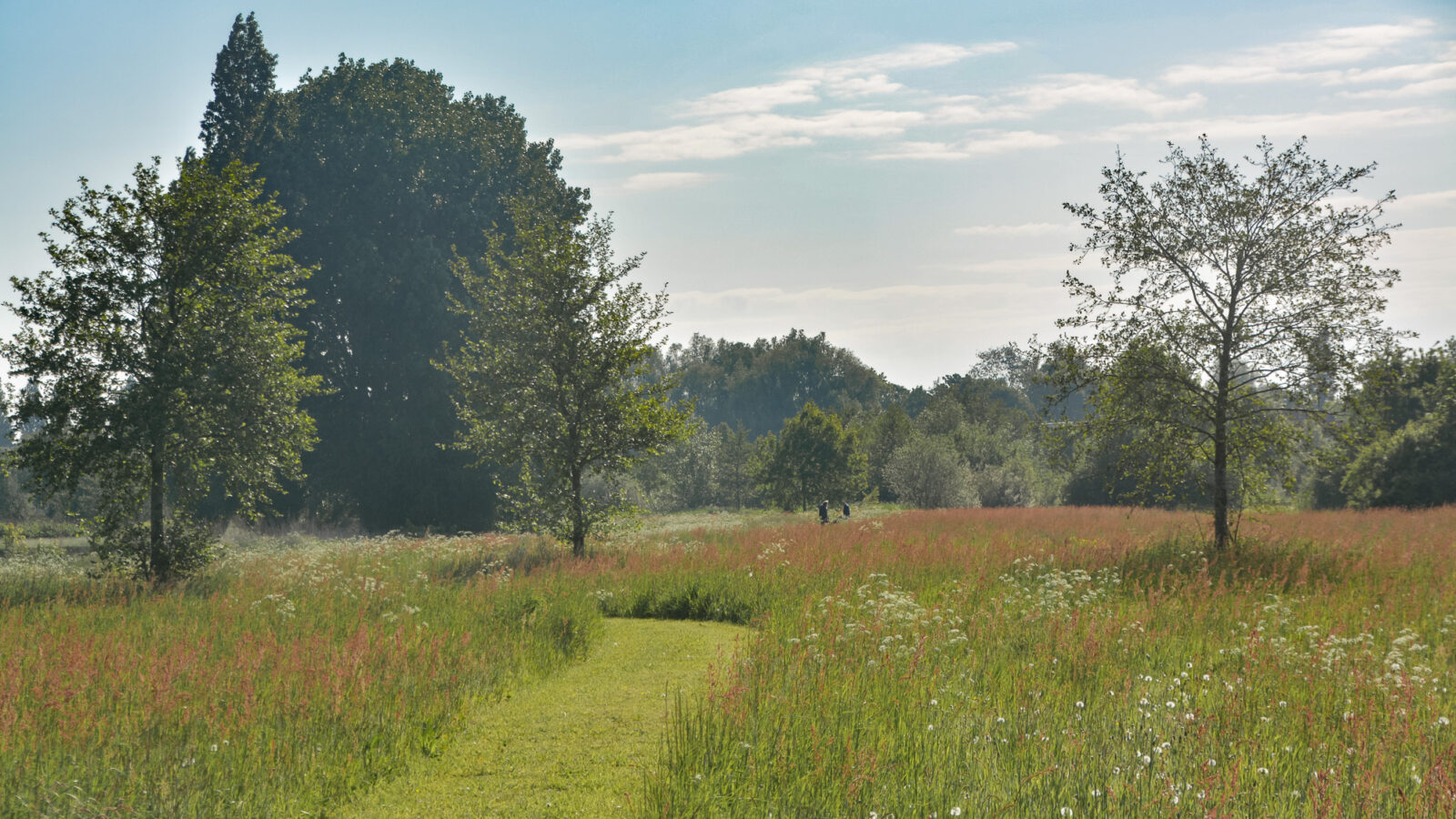 Landscape park Mandelmeersen Oostrozebeke