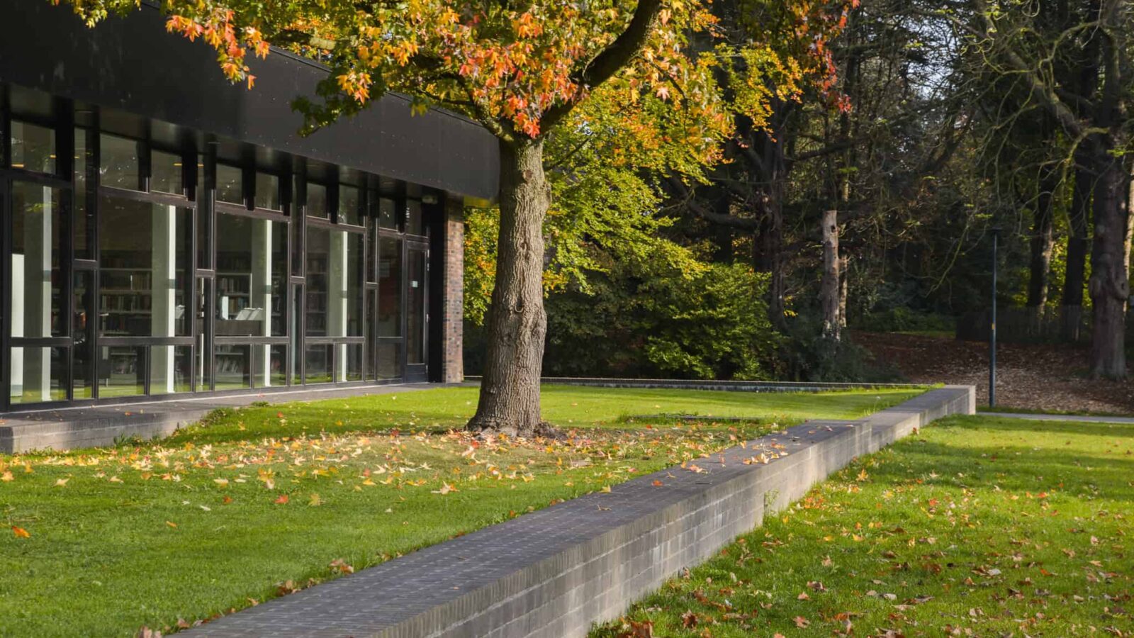Refurbishment around Wevelgem library