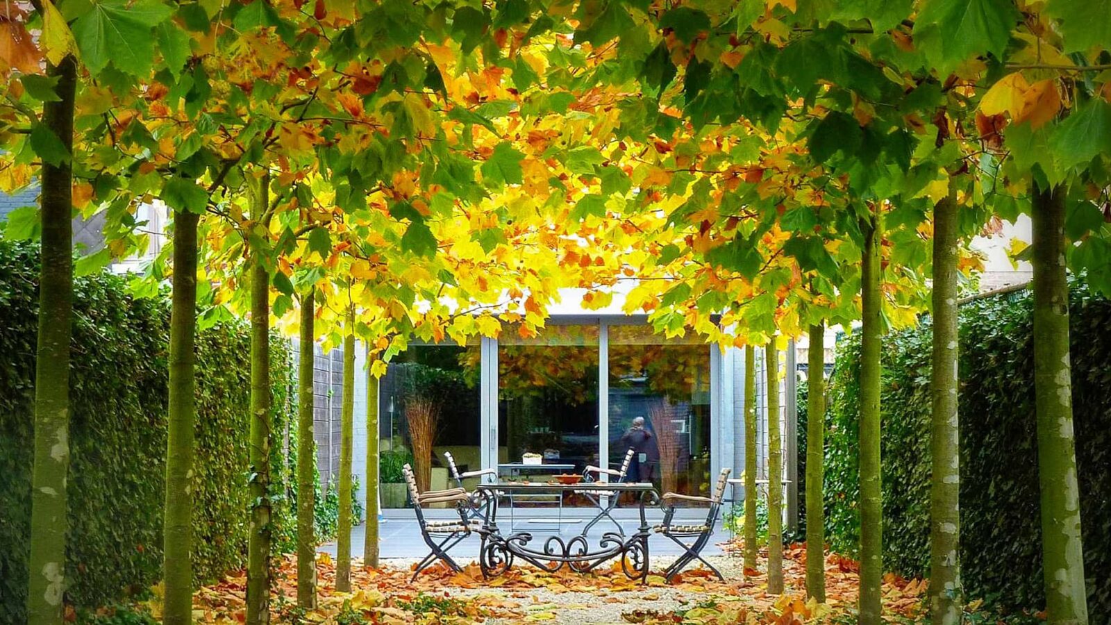 Private garden in Wervik