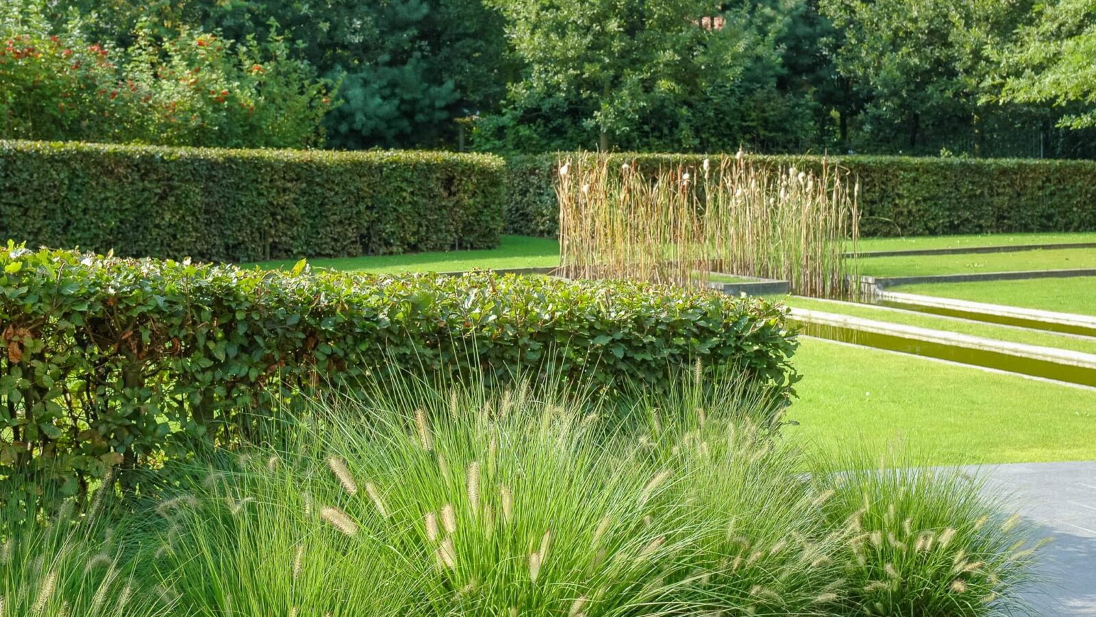 Private garden in Kortrijk