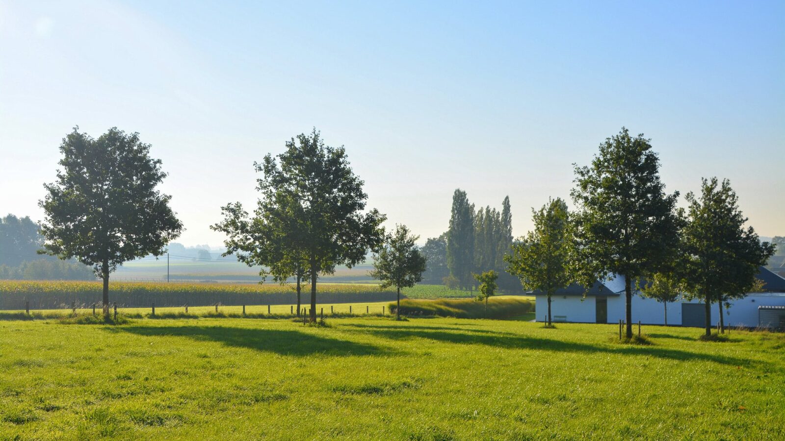 Tuin in Wervik