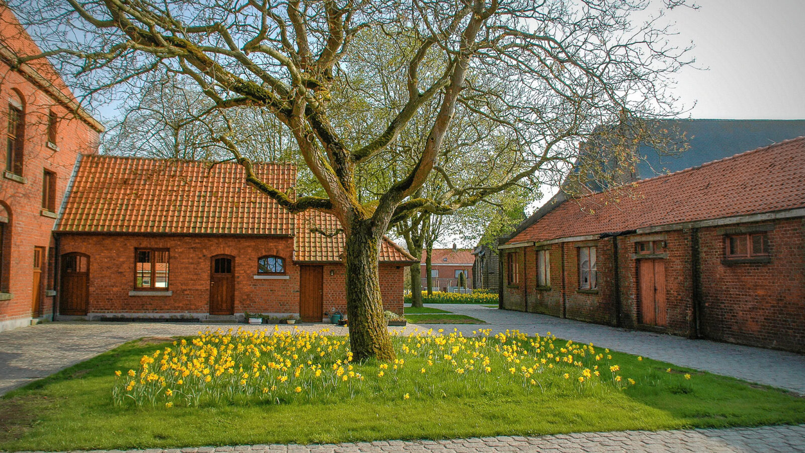 Tuin in Wulvergem