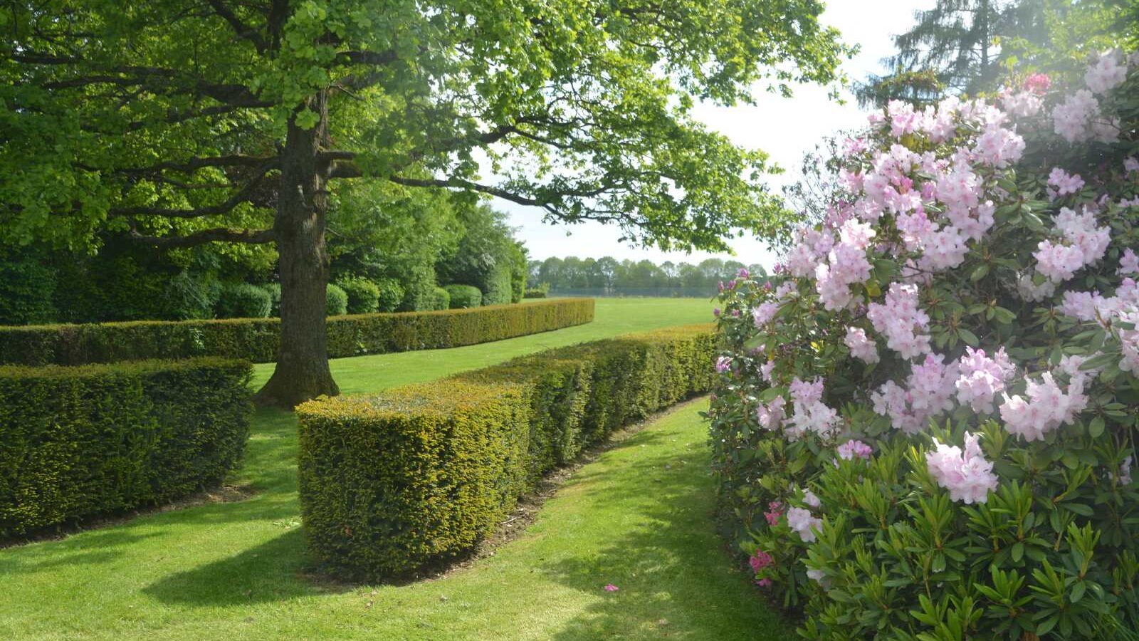 Private garden in Jesus Oak