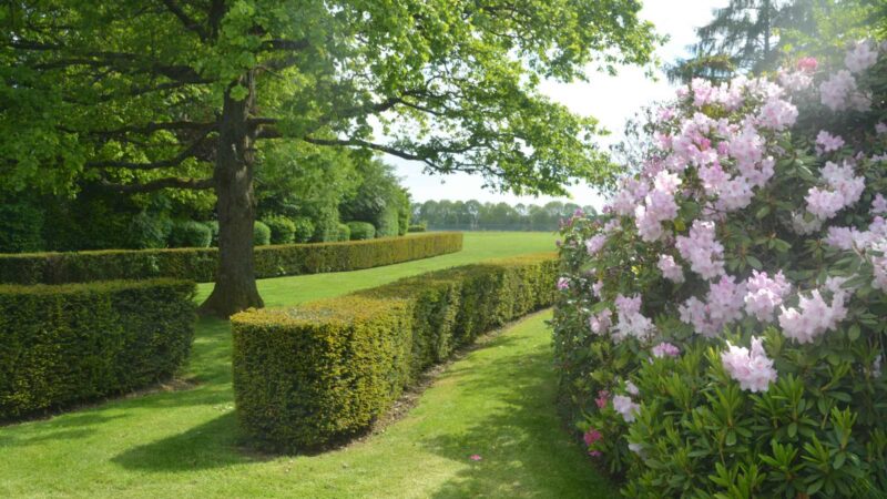 Private garden in Jesus Oak