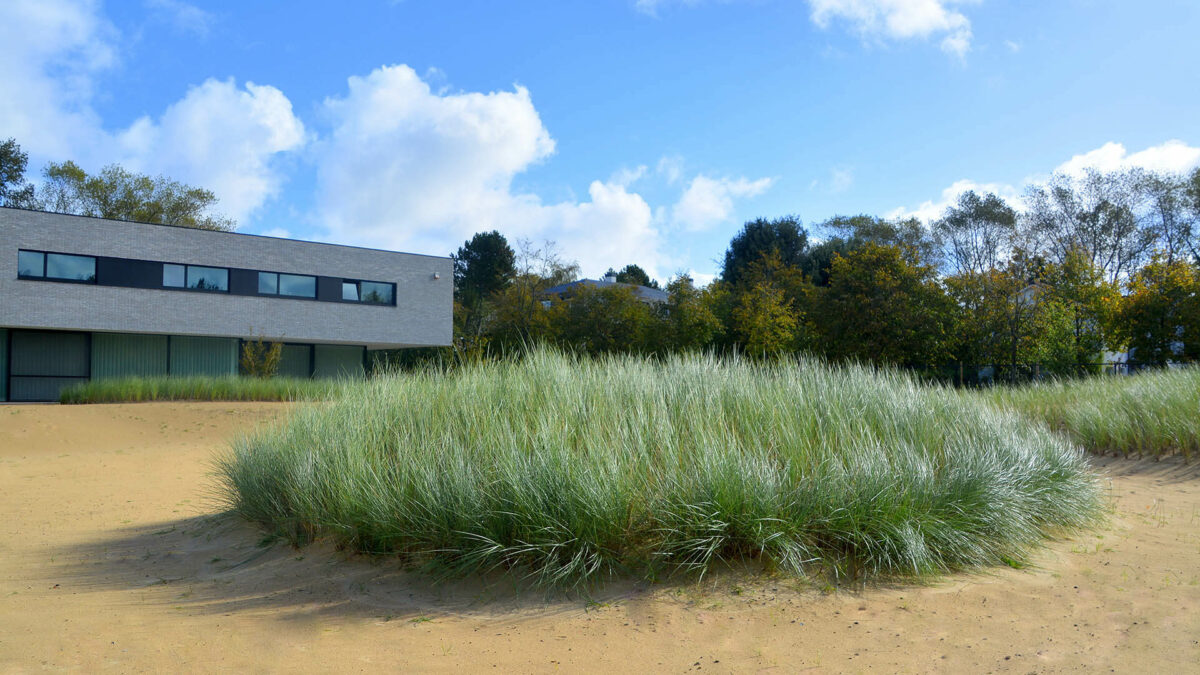 Private tuin in Oostduinkerke Andy Malengier