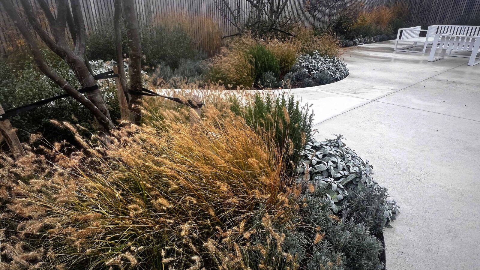 Private Landscape garden Ieper (in progress)